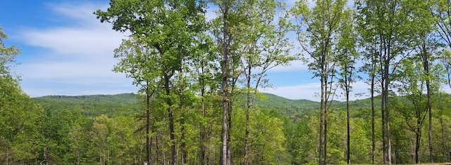 Listing photo 2 for 34 Wildlife Trl, Morganton GA 30560