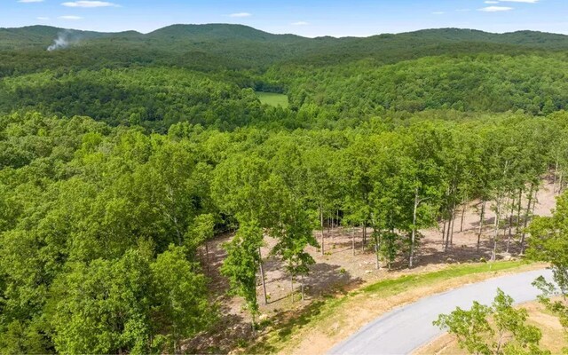 34 Wildlife Trl, Morganton, GA 30560