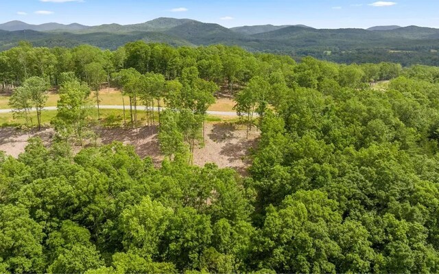 34 Wildlife Trl, Morganton, GA 30560