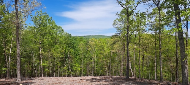 34 Wildlife Trl, Morganton, GA 30560