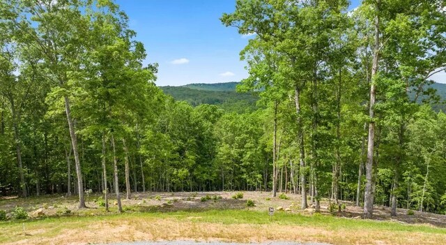 34 Wildlife Trl, Morganton, GA 30560