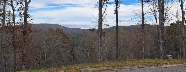34 Wildlife Trl, Morganton, GA 30560