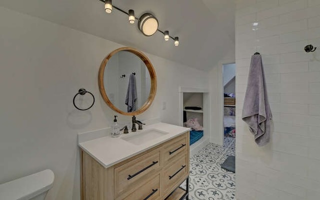 7670 Hiawassee Wilderness, Hiawassee, GA 30546 - full bath with vaulted ceiling, vanity, toilet, and built in features