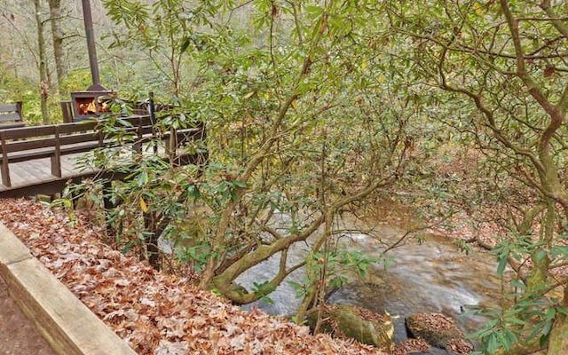 7670 Hiawassee Wilderness, Hiawassee, GA 30546 - view of yard featuring a forest view