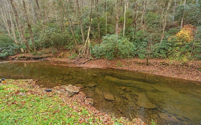 view of yard with a water view