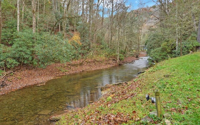 7670 Hiawassee Wilderness, Hiawassee, GA 30546 - water view with a heavily wooded area