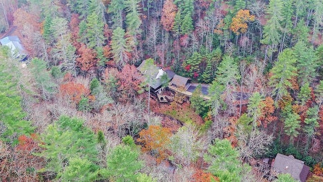 7670 Hiawassee Wilderness, Hiawassee, GA 30546 - aerial view of property's location with a heavily wooded area
