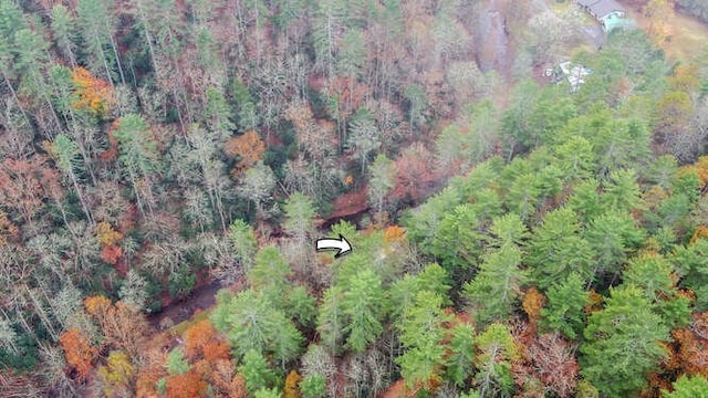 7670 Hiawassee Wilderness, Hiawassee, GA 30546 - aerial view of property and surrounding area with a forest