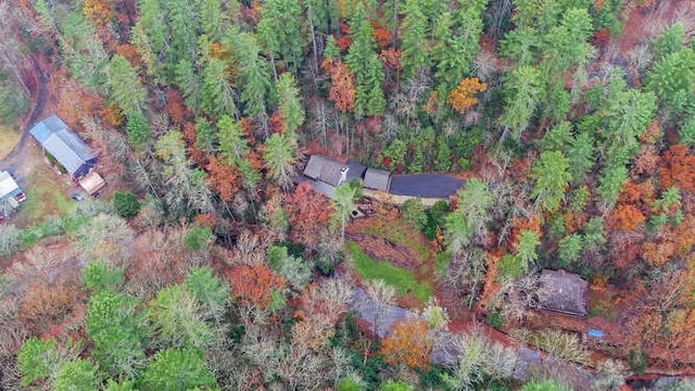 7670 Hiawassee Wilderness, Hiawassee, GA 30546 - aerial view of property's location featuring a heavily wooded area