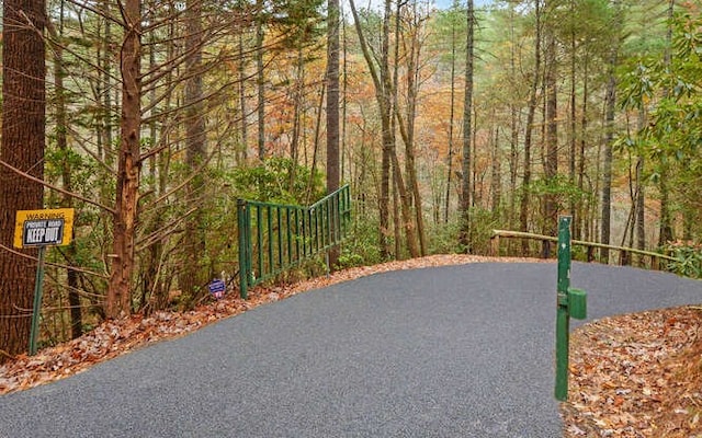 7670 Hiawassee Wilderness, Hiawassee, GA 30546 - surrounding community featuring a forest view