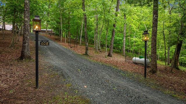 608 Pine Pass Cir, Mineral Bluff, GA 30559 - view of dirt / gravel driveway featuring a forest view