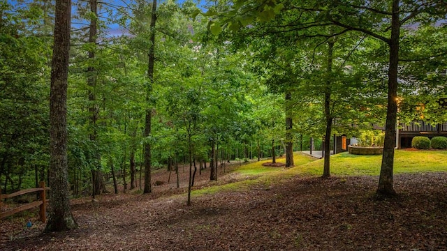 608 Pine Pass Cir, Mineral Bluff, GA 30559 - view of nature