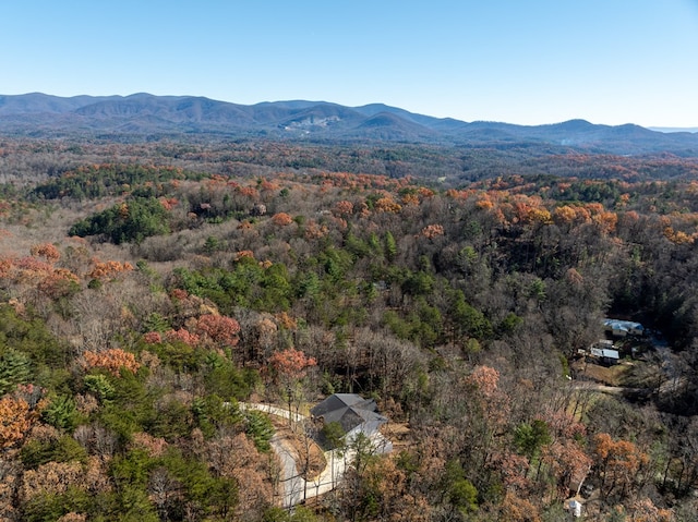 view of mountain feature featuring a wooded view