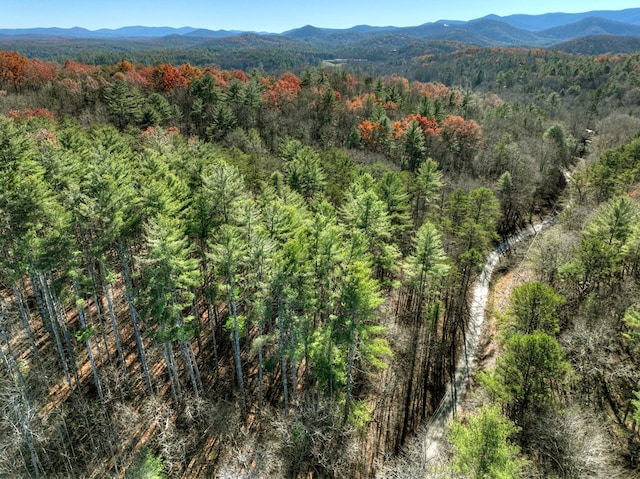 Listing photo 3 for 0 Dunn Mill Creek Rd, Blue Ridge GA 30513