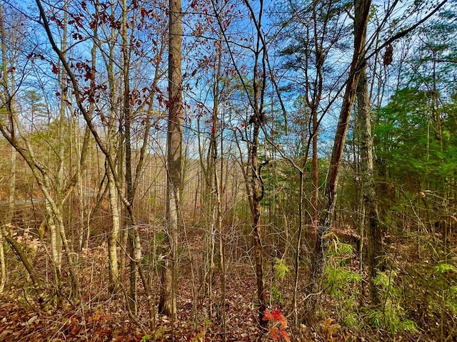 8 Firefly Ridge Rd, Blairsville GA, 30512 land for sale