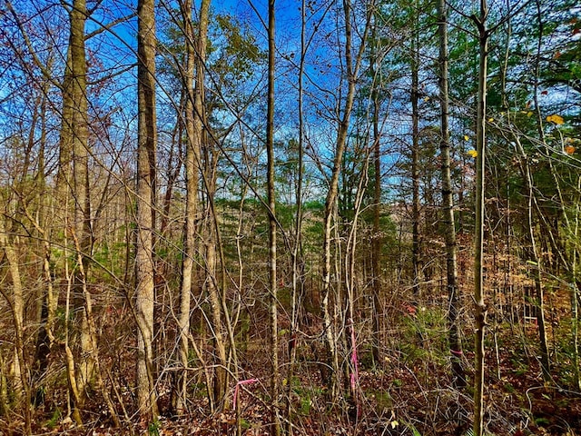 Listing photo 3 for 8 Firefly Ridge Rd, Blairsville GA 30512