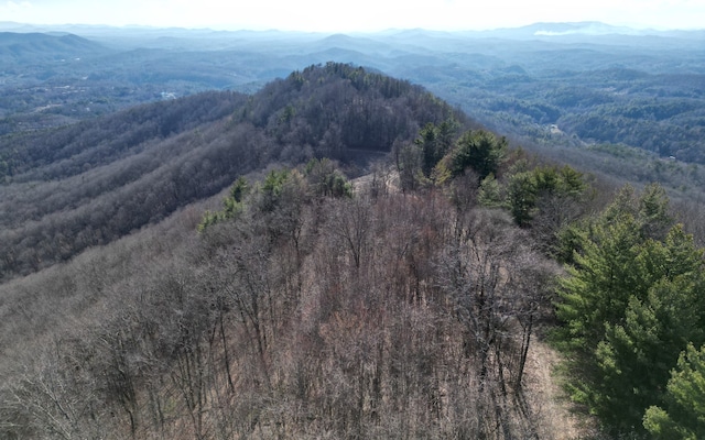 208.15 Fain Peak Dr, Murphy NC, 28906 land for sale