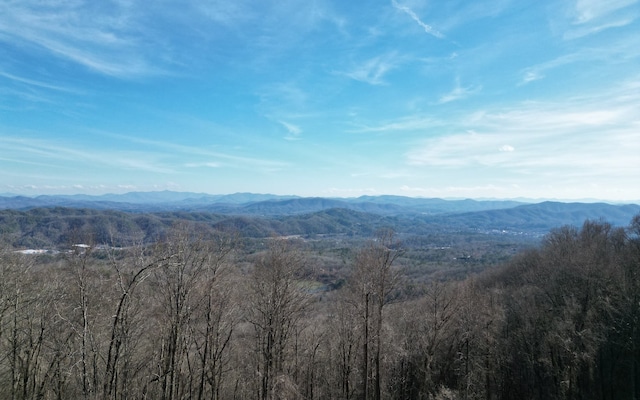 Listing photo 3 for 208.15 Fain Peak Dr, Murphy NC 28906