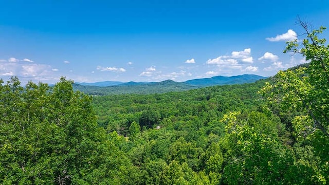 437 Spruce Cir, Mineral Bluff, GA 30559 - mountain view featuring a heavily wooded area