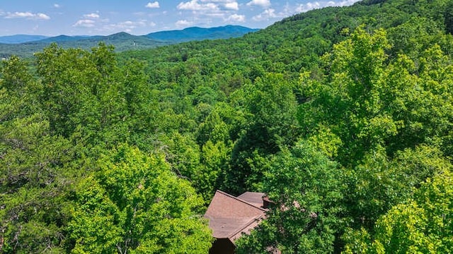 437 Spruce Cir, Mineral Bluff, GA 30559 - view of mountain background with a forest