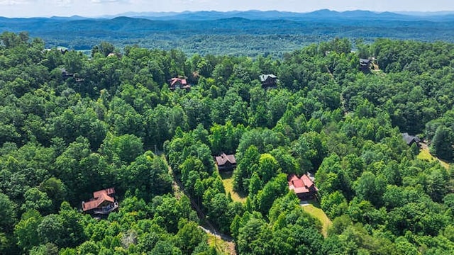437 Spruce Cir, Mineral Bluff, GA 30559 - aerial overview of property's location with a forest and mountains