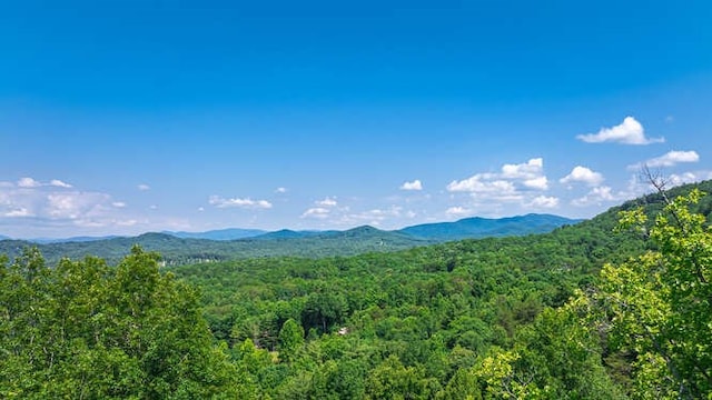 437 Spruce Cir, Mineral Bluff, GA 30559 - view of mountain backdrop with a forest