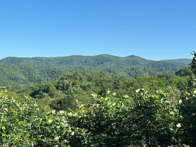 1207 Bullen Gap Rd, Blue Ridge, GA 30513 - view of mountain backdrop with a forest