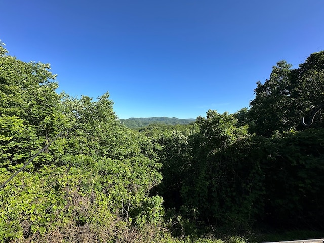 1207 Bullen Gap Rd, Blue Ridge, GA 30513 - view of mountain background featuring a forest