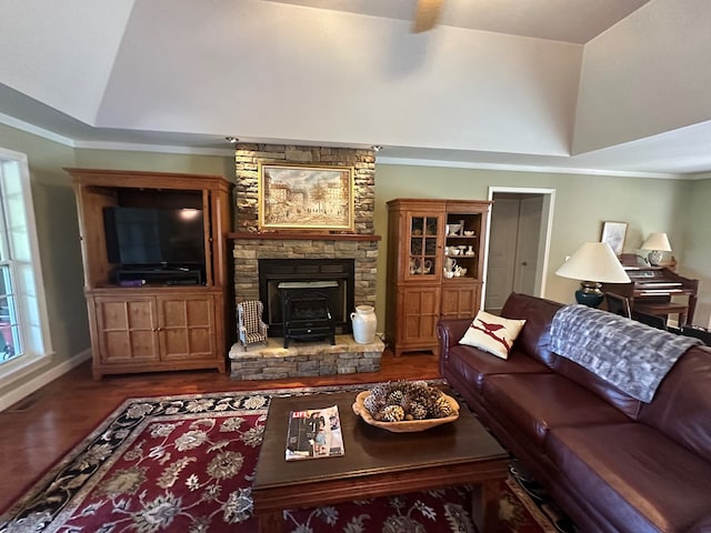 1207 Bullen Gap Rd, Blue Ridge, GA 30513 - living room featuring a wood stove, lofted ceiling, wood finished floors, plenty of natural light, and baseboards