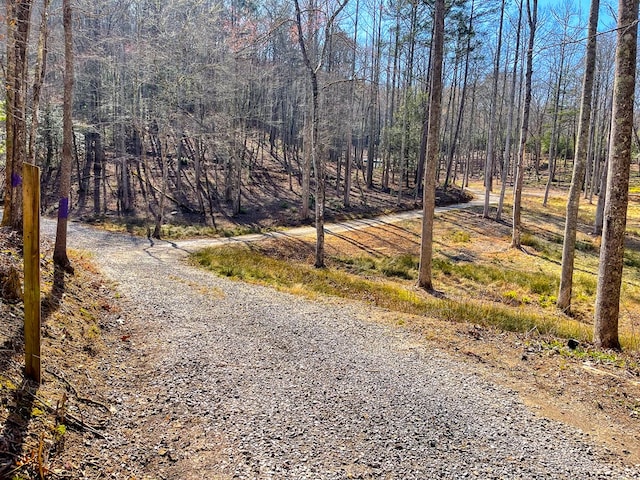 605 Hamby Rd, Murphy, NC 28906 - view of road