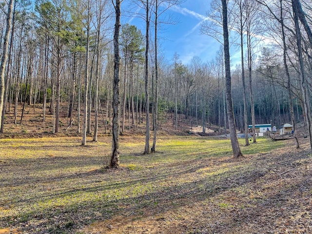 605 Hamby Rd, Murphy, NC 28906 - view of yard with a view of trees