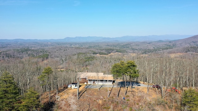 605 Hamby Rd, Murphy, NC 28906 - view of mountain background with a forest