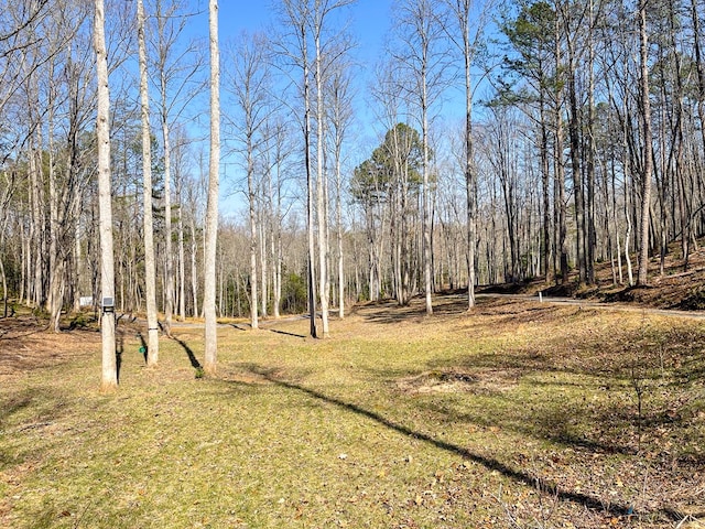 605 Hamby Rd, Murphy, NC 28906 - view of grassy yard