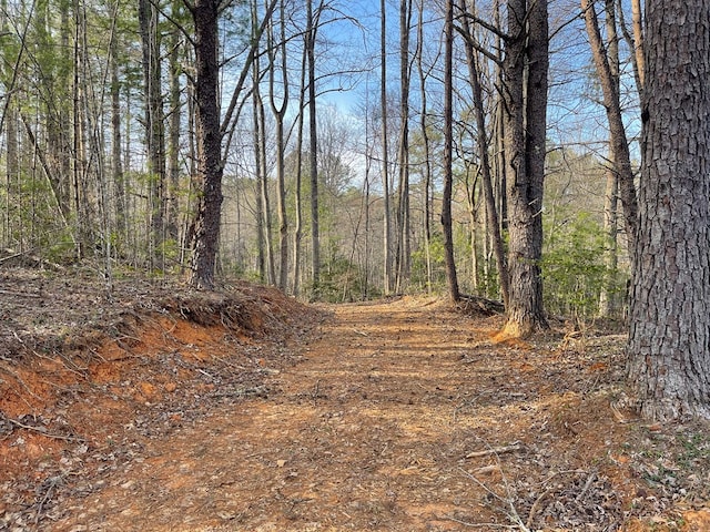 605 Hamby Rd, Murphy, NC 28906 - view of wooded area