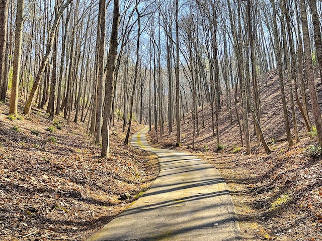 605 Hamby Rd, Murphy, NC 28906 - view of road