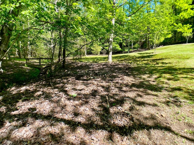 view of yard featuring a view of trees