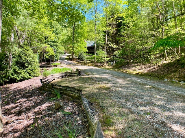 view of street with a forest view and gravel driveway