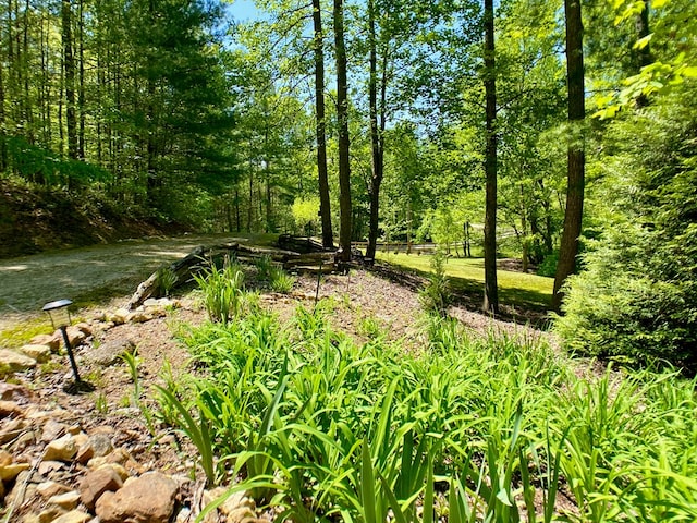 view of landscape