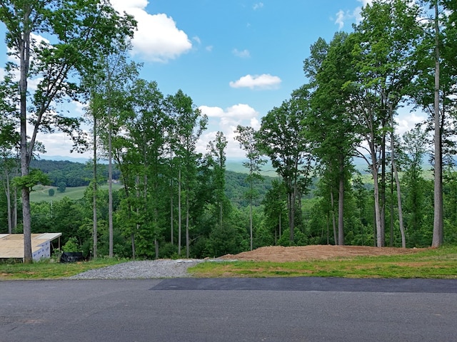 Listing photo 2 for LOT139 Winding Rdg, Blairsville GA 30512