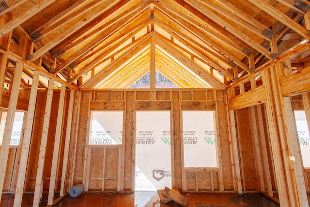 miscellaneous room with plenty of natural light and lofted ceiling