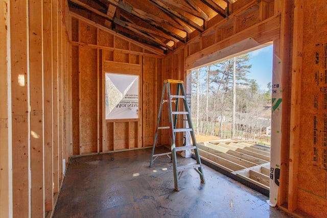 misc room with lofted ceiling