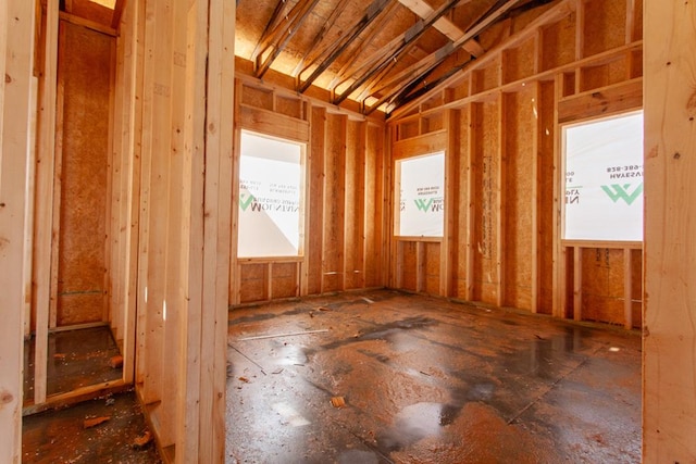 miscellaneous room with lofted ceiling