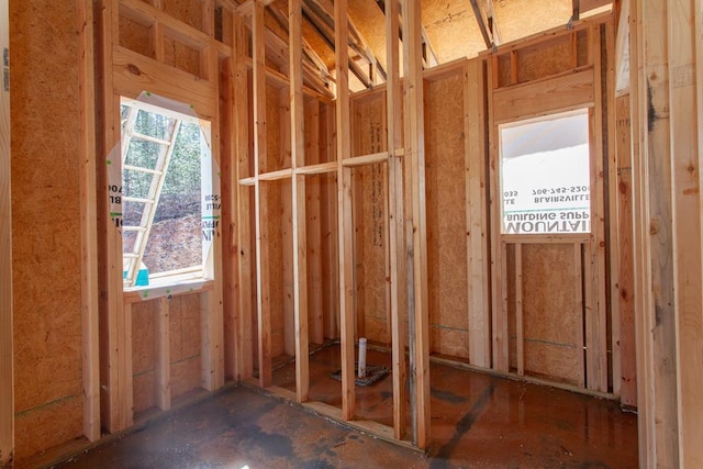 miscellaneous room with a wealth of natural light