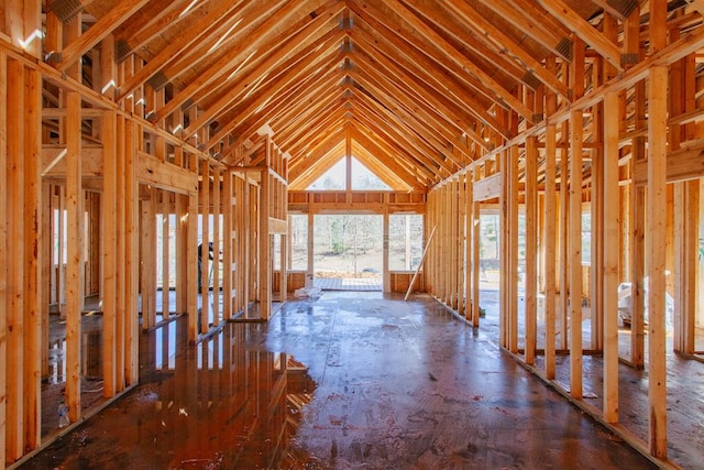 miscellaneous room featuring lofted ceiling