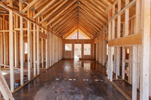 miscellaneous room featuring vaulted ceiling