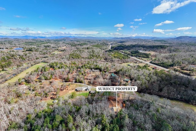 birds eye view of property featuring a mountain view