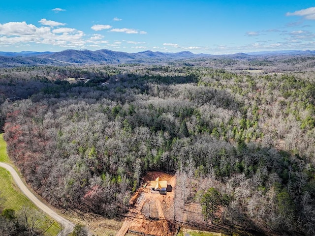 aerial view featuring a mountain view