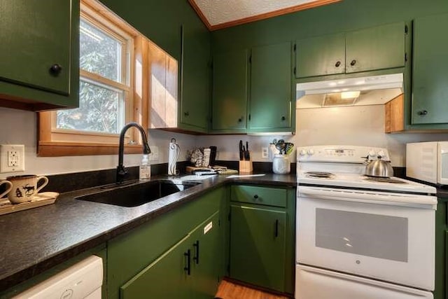 kitchen featuring under cabinet range hood, white appliances, green cabinetry, and a sink