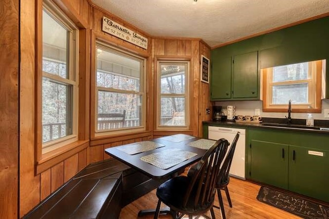 dining space with light wood-style floors, a healthy amount of sunlight, and wooden walls