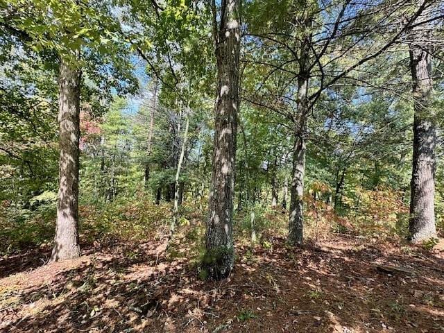 Listing photo 2 for LOT215 Old Toccoa Loop, Mineral Bluff GA 30559